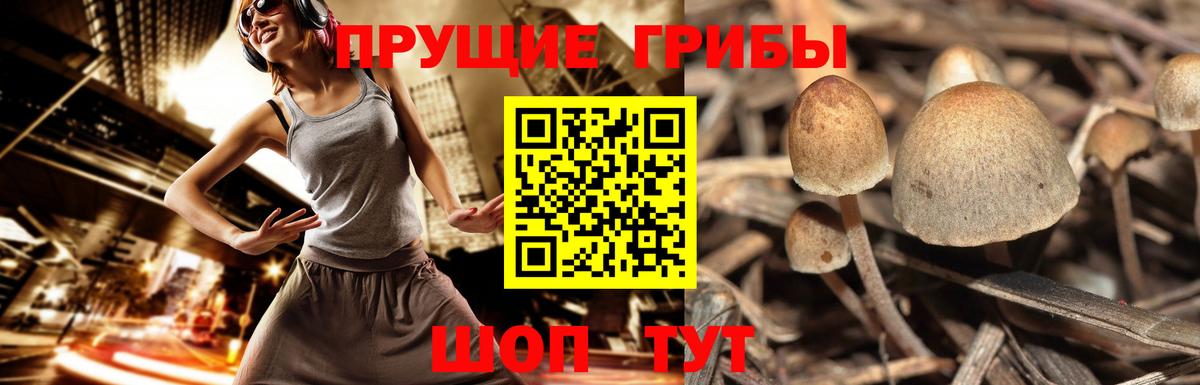 Узловая  Галлюциногенные грибы мухоморы  Вход с VPN  Галлюциногенные грибы MAGIC MUSHROOMS 